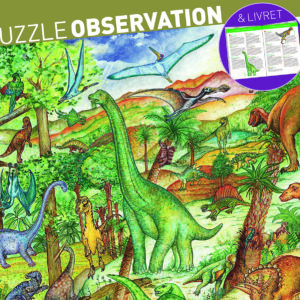 Dinosaures 100 pcs + Livret