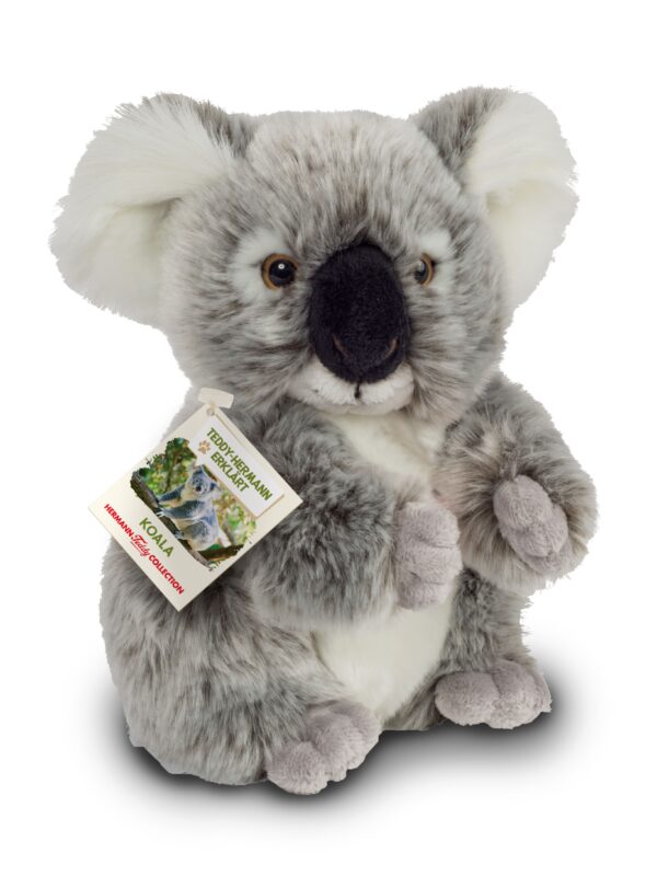 Koala 21 cm