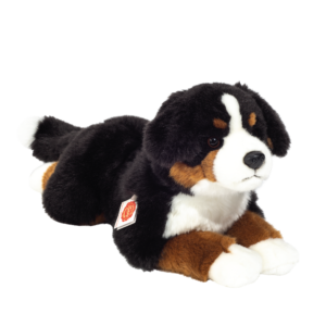 Berner Sennenhund liegend 60 cm