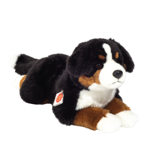 Berner Sennenhund liegend 60 cm