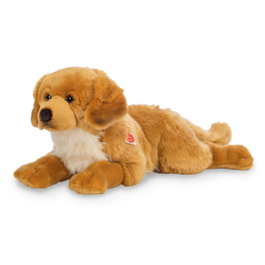 Golden Retriever bernsteinfarben 60 cm