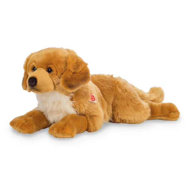 Golden Retriever bernsteinfarben 60 cm