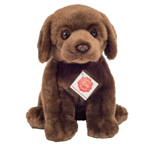 Labrador sitzend dunkelbraun 25 cm